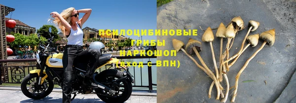 ГАЛЛЮЦИНОГЕННЫЕ ГРИБЫ Балабаново