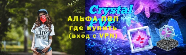 ГАЛЛЮЦИНОГЕННЫЕ ГРИБЫ Балабаново