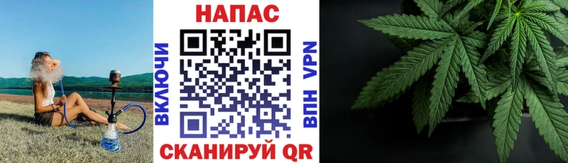 где купить наркоту  Ливны  Бошки марихуана Amnesia 